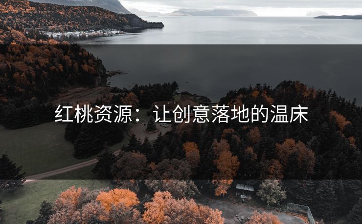 红桃资源:让创意落地的温床